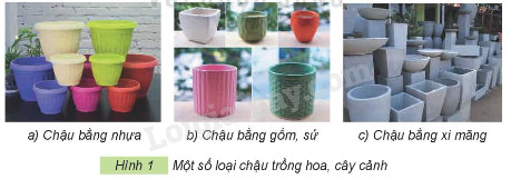 Các loại chậu trồng cây cảnh với chất liệu đa dạng, bao gồm chậu nhựa bền bỉ và chậu đất nung truyền thống.