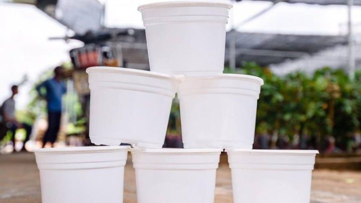 Chậu trồng hoa và cây cảnh bằng nhựa với nhiều màu sắc và kích cỡ đa dạng, tối ưu chi phí