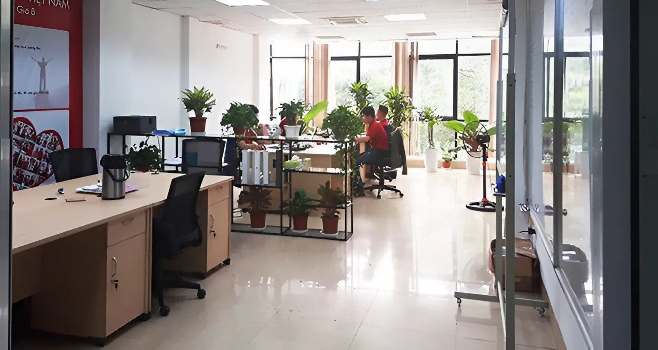 Không gian văn phòng NNM GROUP được thiết kế thoáng đãng với cây xanh