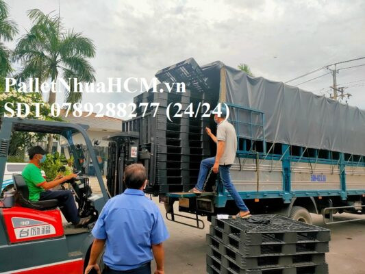 Một kho hàng rộng lớn trưng bày nhiều loại pallet nhựa cũ tại khu vực HCM, giúp khách hàng dễ dàng tìm kiếm địa điểm mua bán và xem trực tiếp hình ảnh của pallet nhựa cũ HCM.