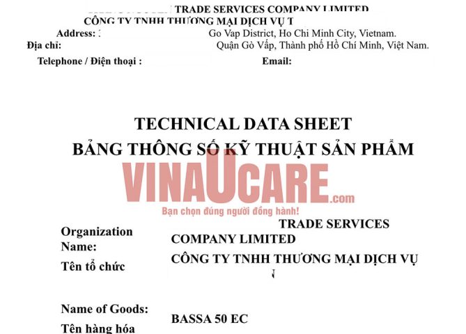 Người chuyên viên đang xem xét bảng thông số kỹ thuật (TDS) của vật liệu nhựa