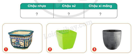 Nhiều loại chậu nhựa dùng để trồng hoa và cây cảnh, từ chậu treo đến chậu để bàn, với thiết kế hiện đại.