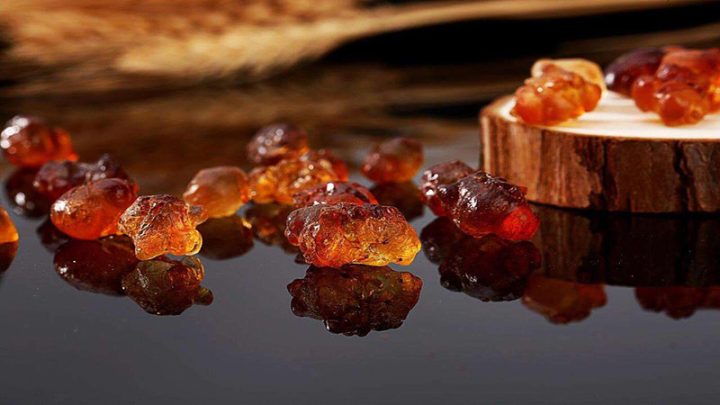 Nhựa đào tự nhiên với nhiều công dụng của nhựa đào trong y học cổ truyền