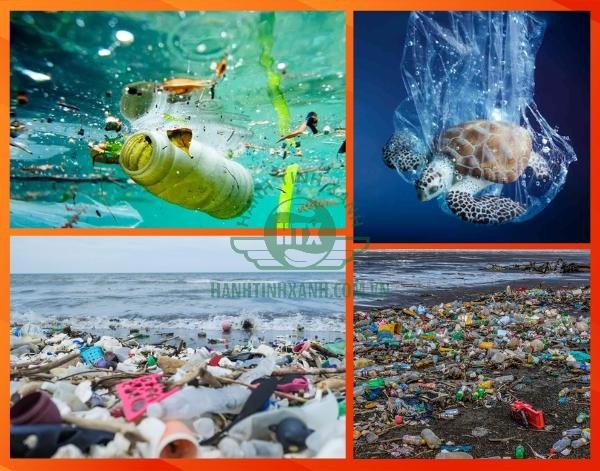 Rác thải nhựa xuất hiện ở ao hồ, sông suối là biểu hiện của ô nhiễm môi trường nước ngọt