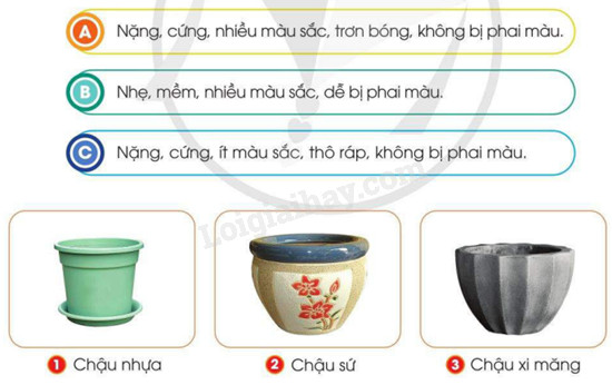 So sánh đặc điểm chậu nhựa và chậu gốm, đất nung qua hình ảnh minh họa, nhấn mạnh ưu nhược điểm từng loại.
