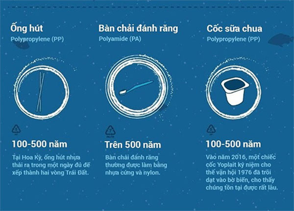 Thời gian phân hủy của bàn chải đánh răng và cốc sữa chua