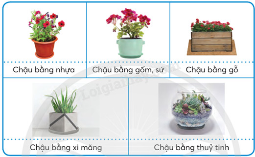Tổng hợp các mẫu chậu trồng hoa cây cảnh từ nhựa, gốm và sứ, cho thấy sự đa dạng về vật liệu và thiết kế.