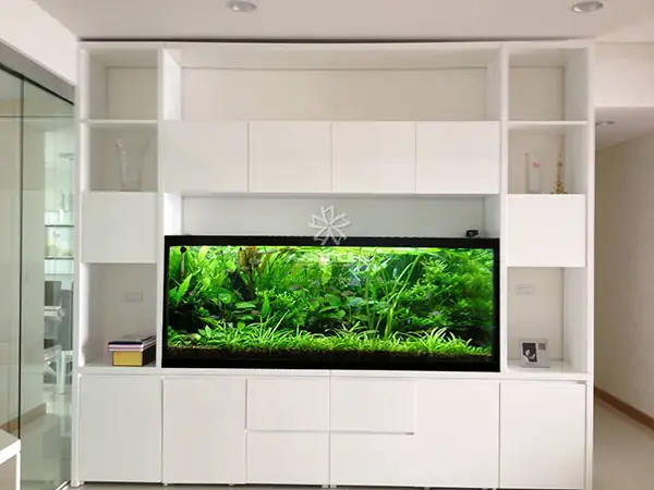 bể cá để phòng ngủ bể cá để phòng ngủ