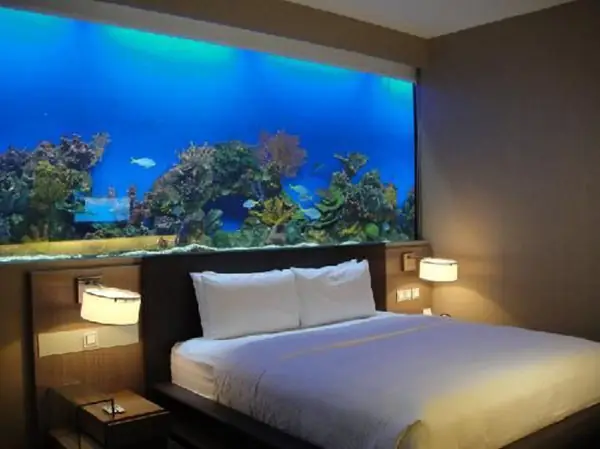 bể cá để phòng ngủ bể cá để phòng ngủ