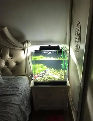 bể cá để phòng ngủ bể cá để phòng ngủ
