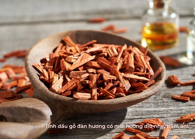 Chọn hương thơm nào cho phòng ngủ để thư giãn và dễ ngủ?