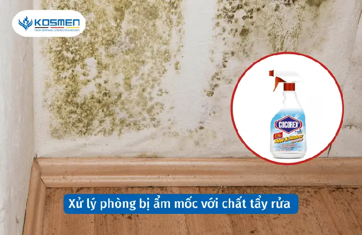 Chống ẩm phòng ngủ bằng biện pháp tự nhiên: Hướng dẫn từ A-Z
