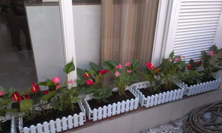 Cách Trang Trí Phòng Ngủ Với Hàng Rào: Biến Hóa Không Gian Độc Đáo