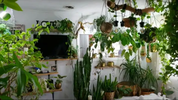 Cây cảnh giả phòng ngủ: Hướng dẫn lựa chọn và trang trí đẹp tinh tế