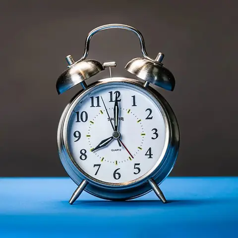 Cây cảnh xinh trong phòng ngủ: Gợi ý và những điều cần biết