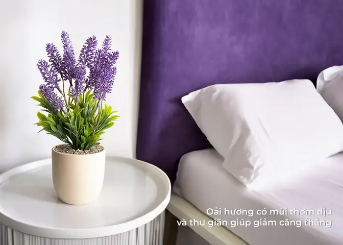 cây để phòng ngủ tốt