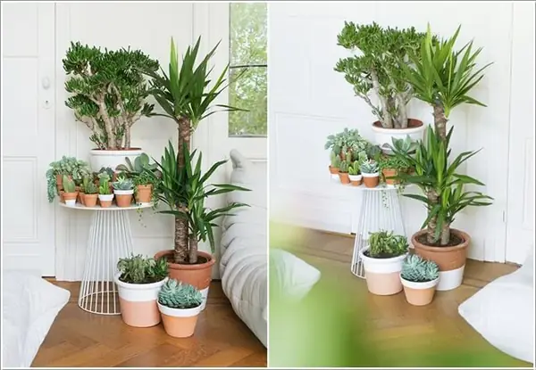 Người dùng muốn tìm kiếm ý tưởng trang trí phòng ngủ với cây xanh trên Google. Người dùng muốn tìm kiếm ý tưởng trang trí phòng ngủ với cây xanh trên Google.