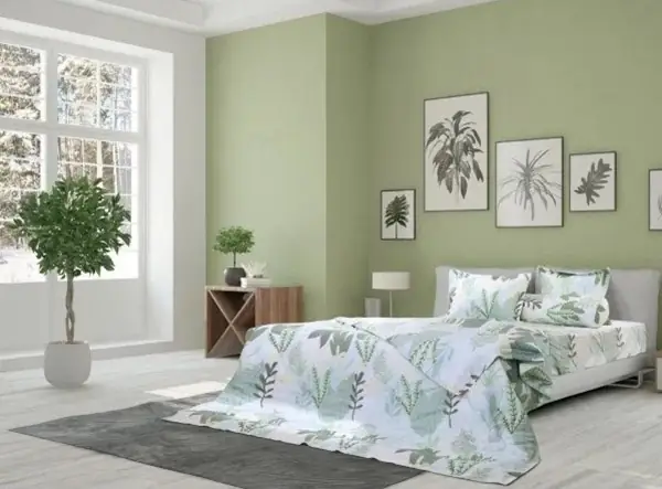 Cây lô hội trong phòng ngủ và những lưu ý khi đặt cây trong phòng