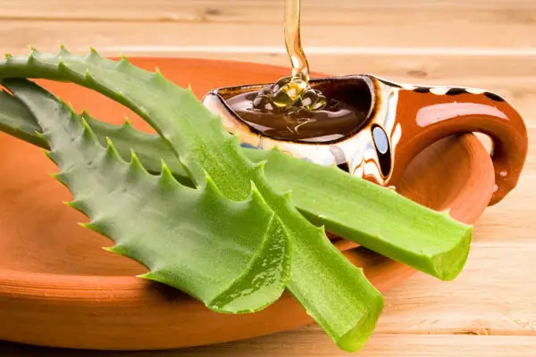 5. Tìm hiểu kỹ về cách chăm sóc cây trồng