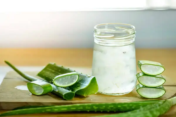 Cây Nha Đam (lô hội) với tác dụng làm đẹp và chăm sóc sức khỏe thần kì