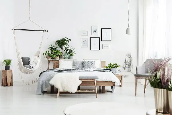 Cây lô hội trong phòng ngủ và những lưu ý khi đặt cây trong phòng
