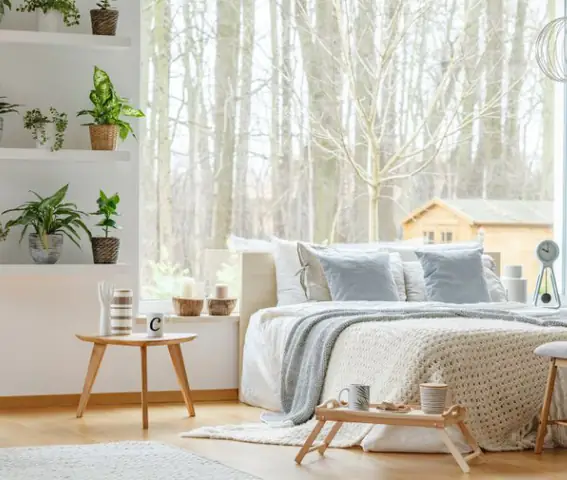 Cây Ngọc Ngân Để Trong Phòng Ngủ Được