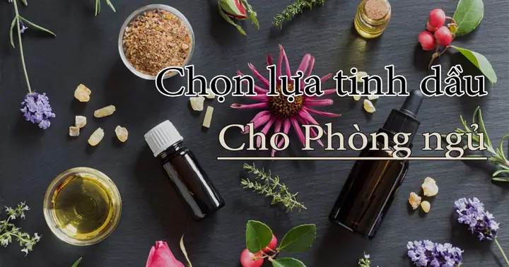 Làm thế nào để chọn tinh dầu cho phòng ngủ phù hợp nhất?