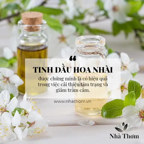 Làm thế nào để chọn tinh dầu cho phòng ngủ phù hợp nhất? Làm thế nào để chọn tinh dầu cho phòng ngủ phù hợp nhất?