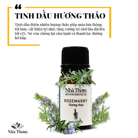 Làm thế nào để chọn tinh dầu cho phòng ngủ phù hợp nhất? Làm thế nào để chọn tinh dầu cho phòng ngủ phù hợp nhất?