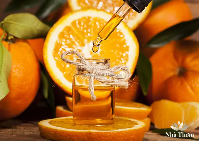 Làm thế nào để chọn tinh dầu cho phòng ngủ phù hợp nhất? Làm thế nào để chọn tinh dầu cho phòng ngủ phù hợp nhất?