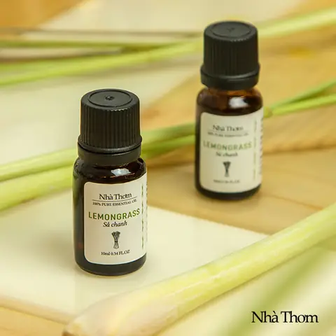 Làm thế nào để chọn tinh dầu cho phòng ngủ phù hợp nhất? Làm thế nào để chọn tinh dầu cho phòng ngủ phù hợp nhất?