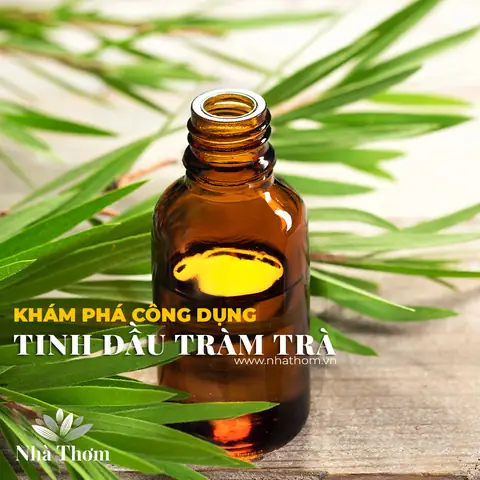 Làm thế nào để chọn tinh dầu cho phòng ngủ phù hợp nhất? Làm thế nào để chọn tinh dầu cho phòng ngủ phù hợp nhất?