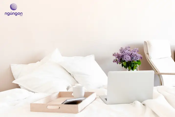 Có Nên Cắm Hoa Ly Trong Phòng Ngủ? Phân Tích Khoa Học & Lời Khuyên Có Nên Cắm Hoa Ly Trong Phòng Ngủ? Phân Tích Khoa Học & Lời Khuyên