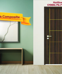 Cửa nhựa composite cánh đơn DW211-M19