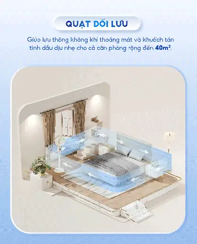 Đánh Giá Cửa Phòng Ngủ Trên Sendo.vn: Nên Mua Loại Nào?