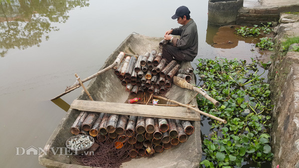 Đặt bẫy cua đồng bằng chai nhựa vào buổi chiều tối ở kênh mương