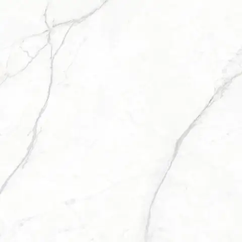 Gạch Eurotile PLA S01H