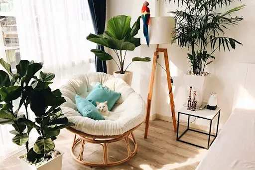 Chọn ghế trang trí phòng ngủ phù hợp với phong cách của căn phòng Chọn ghế trang trí phòng ngủ phù hợp với phong cách của căn phòng