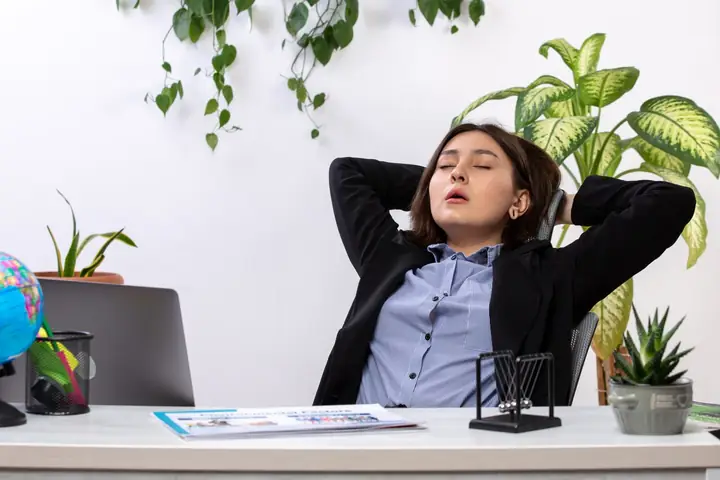 5 Cửa Hàng Ghế Văn Phòng Ngủ Trưa Sài Gòn Chất Lượng Cao
