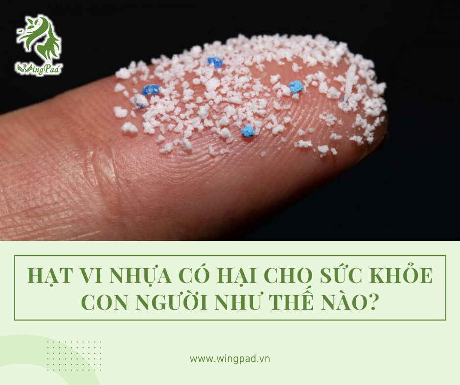 Hình ảnh minh họa tác hại của hạt vi nhựa đối với sức khỏe con người