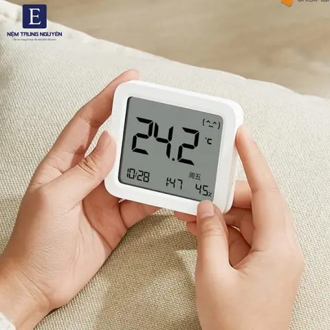 Ho Nước Trong Phòng Ngủ: Tốt Hay Xấu Và Giải Pháp Hiệu Quả