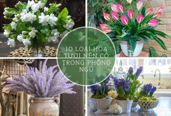 hoa để trong phòng ngủ