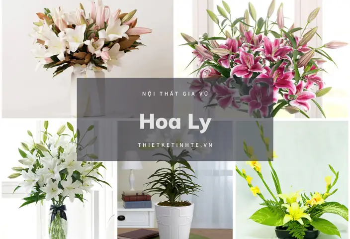 hoa để trong phòng ngủ