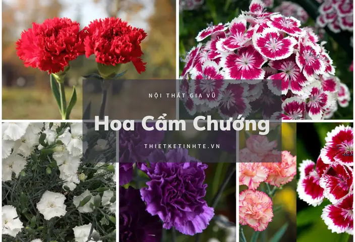 hoa để trong phòng ngủ