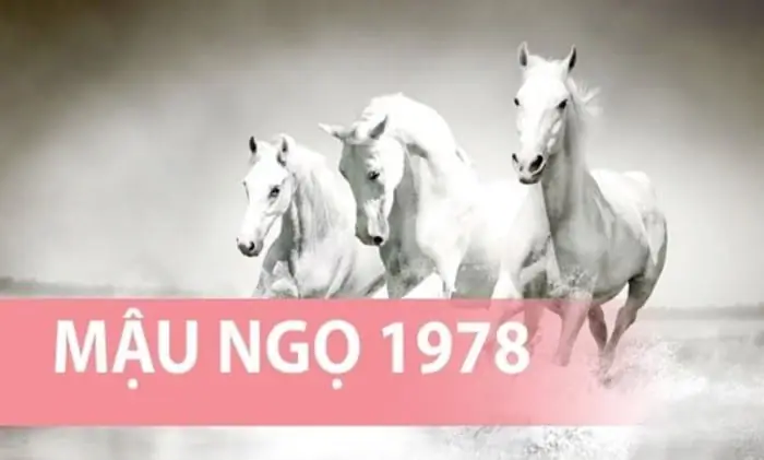 Đặc điểm của người tuổi Mậu Ngọ