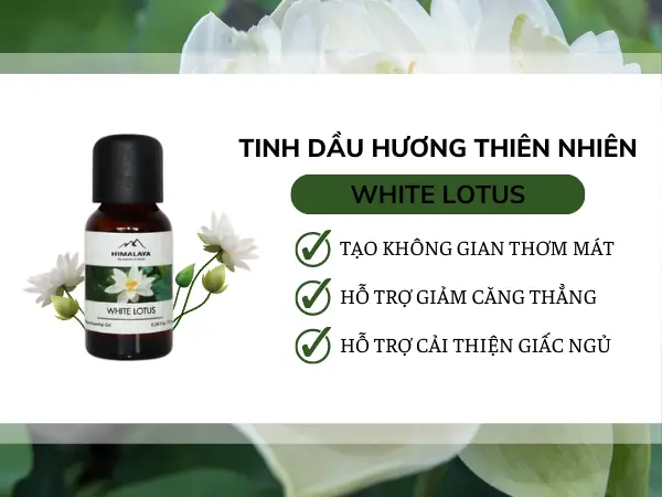 Cách Chọn Hương Hoa Thơm Phòng Ngủ Mang Lại Không Gian Lý Tưởng