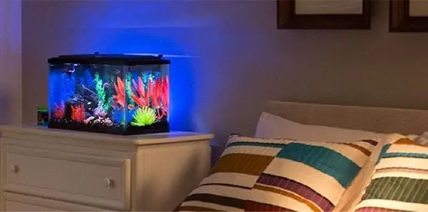 Tác hại và 3 nguyên tắc phong thủy khi không để bon cá trong phòng ngủ