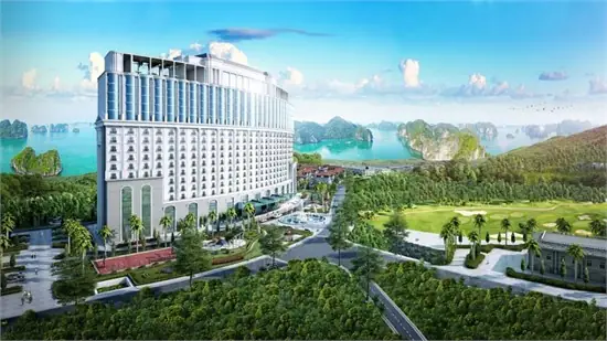 Làm Phòng Ngủ Bằng Ván Ép Hạ Long: Hướng Dẫn Chi Tiết