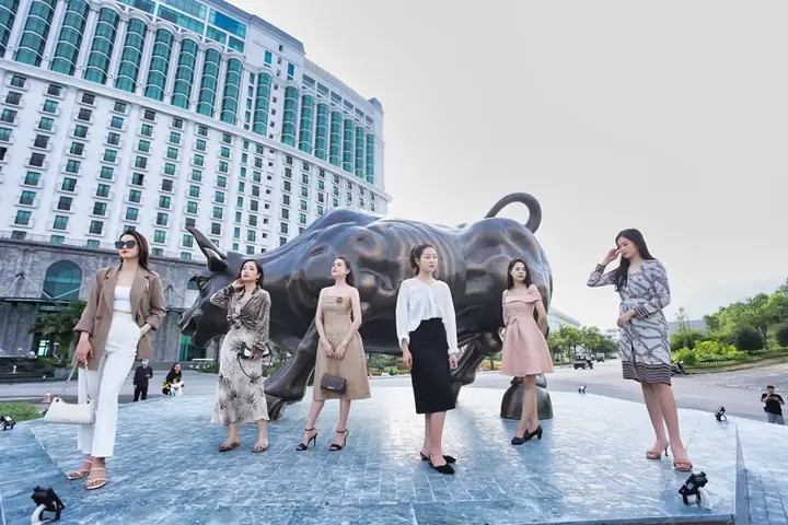 Làm Phòng Ngủ Bằng Ván Ép Hạ Long: Hướng Dẫn Chi Tiết