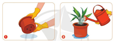Lỗ thoát nước ở đáy chậu nhựa giúp cây không bị úng